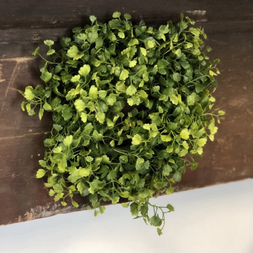 Maiden Hair Wreath 7”